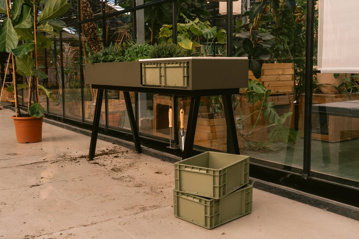 Chapter 1. 'The Start' - Gardening tips by expert Floor Korte - Floor's Moestuin
